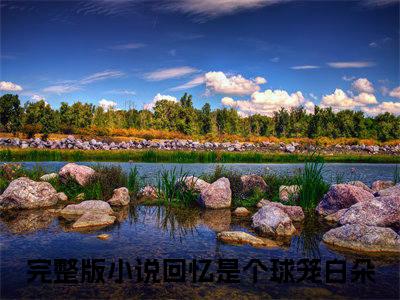 回忆是个球笼白朵（回忆是个球笼白朵）最新免费阅读-回忆是个球笼白朵小说在线阅读