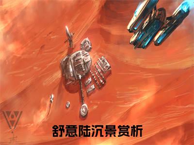 舒意陆沉景的小说(舒意陆沉景)最新章节全文免费阅读_笔趣阁