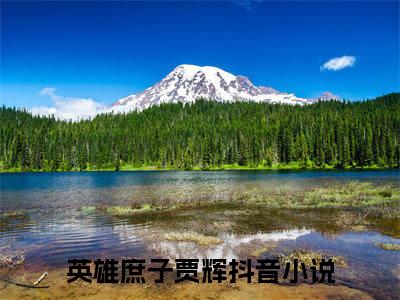 英雄庶子贾辉小说免费阅读 英雄庶子贾辉免费阅读无广告