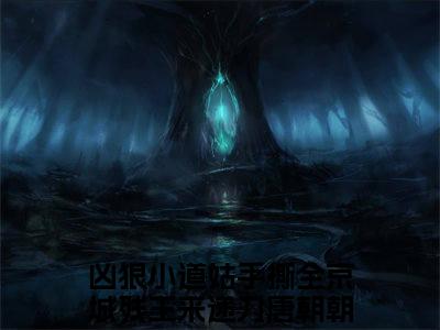 抖音新书热荐凶狠小道姑手撕全京城残王来递刀唐朝朝-小说全文完整版免费阅读