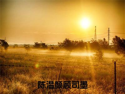 陈温颜顾司墨小说最新章节-陈温颜顾司墨在线免费阅读