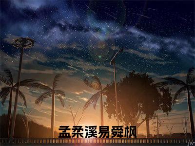 孟柔溪易舜枫（孟柔溪易舜枫）全文免费阅读无弹窗大结局_孟柔溪易舜枫全文免费阅读_笔趣阁
