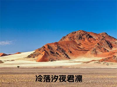 冷落汐夜君凛是哪部小说的主角，冷落汐夜君凛免费阅读全文大结局