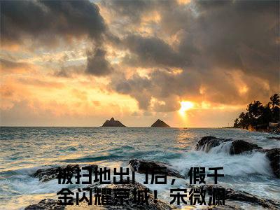 被扫地出门后，假千金闪耀京城！（宋微澜）小说全文免费_被扫地出门后，假千金闪耀京城！（宋微澜）最新章节目录笔趣阁