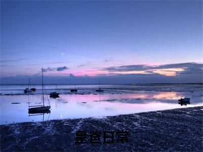 星爸日常（林浩）全文免费阅读无弹窗大结局_（星爸日常免费阅读全文大结局）最新章节列表