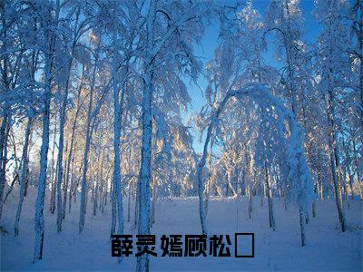 薛灵嫣顾松埜（薛灵嫣顾松埜）小说-薛灵嫣顾松埜小说免费最新章节列表