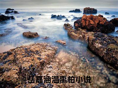 岳嘉涵温禹柏微小说免费阅读-岳嘉涵温禹柏言情小说阅读
