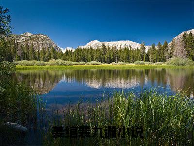 姜绾裴九渊全文免费阅读无弹窗大结局-姜绾裴九渊川在线阅读