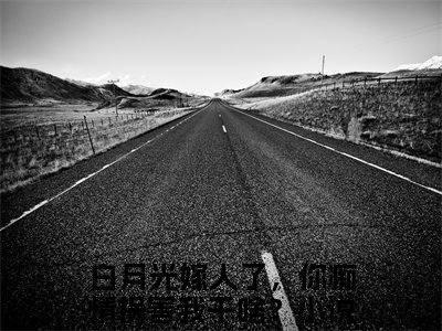 白月光嫁人了，你痴情祸害我干啥？热门小说目录推荐孙晴全文完整版阅读