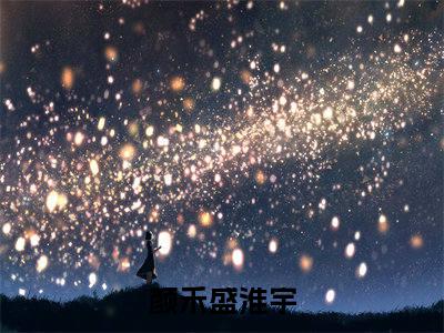 主角为颜禾盛淮宇的小说叫什么-最新小说全文阅读