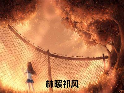 林暖祁风热门小说全文免费阅读无弹窗大结局-林暖祁风免费阅读大结局
