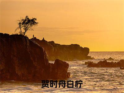 贺时舟白柠小说（贺时舟白柠）小说全文无删减版在线阅读_贺时舟白柠小说最新章节列表