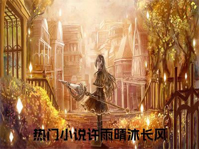 许雨晴沐长风小说(许雨晴沐长风)小说全文免费阅读_（许雨晴沐长风）许雨晴沐长风最新章节列表