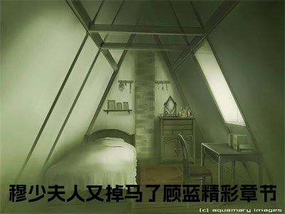 《穆少夫人又掉马了顾蓝》全文免费阅读最新章节大结局-穆少夫人又掉马了顾蓝无弹窗阅读