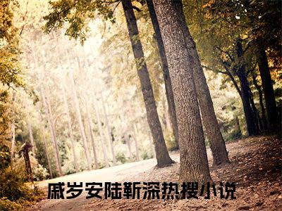 戚岁安陆靳深（戚岁安陆靳深全文免费阅读）小说最新章节_戚岁安陆靳深全文免费阅读最新章节列表