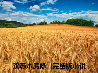 沈苏木厉修璟（沈苏木厉修璟）小说全文免费阅读无弹窗大结局_沈苏木厉修璟最新章节列表笔趣阁（沈苏木厉修璟）