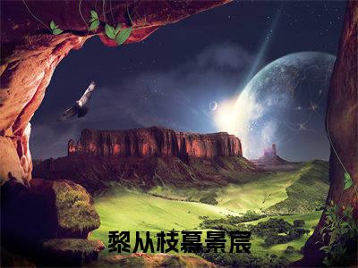 黎从枝慕景宸全文小说（黎从枝慕景宸）全文免费阅读无弹窗大结局_黎从枝慕景宸最新章节列表_笔趣阁（黎从枝慕景宸）