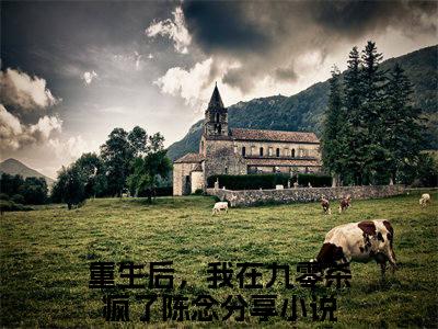 重生后，我在九零杀疯了陈念（重生后，我在九零杀疯了陈念）全文免费阅读无弹窗大结局_重生后，我在九零杀疯了陈念完整章节阅读