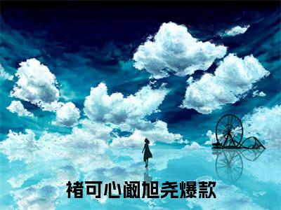 褚可心阚旭尧（褚可心阚旭尧）全文免费阅读无弹窗大结局_褚可心阚旭尧最新章节列表