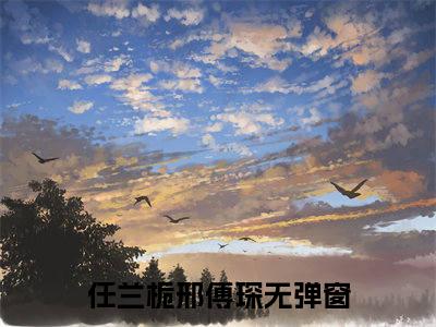 任兰栀邢傅琛（任兰栀邢傅琛）全文免费阅读无弹窗大结局_（任兰栀邢傅琛）任兰栀邢傅琛最新章节列表_笔趣阁
