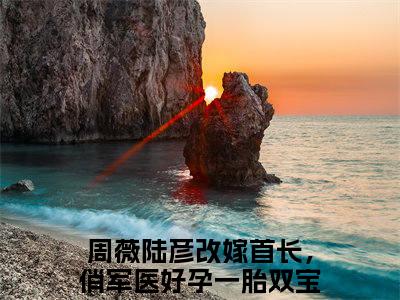 改嫁首长，俏军医好孕一胎双宝（周薇陆彦小说）全文免费阅读无弹窗大结局_（改嫁首长，俏军医好孕一胎双宝小说）最新章节列表