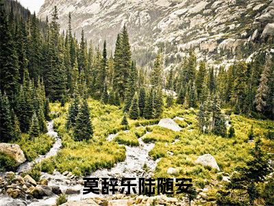 莫辞乐陆随安小说免费阅读无弹窗《莫辞乐陆随安》_莫辞乐陆随安全文阅读