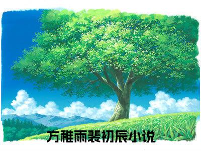 方稚雨裴初辰小说免费阅读-方稚雨裴初辰无广告全文阅读