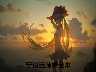 宁泊远林婧什么小说 宁泊远林婧全文免费阅读在线阅读