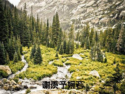 谢羡予婉若在线阅读（谢羡予婉若）全文免费阅读无弹窗大结局_谢羡予婉若精选免费小说