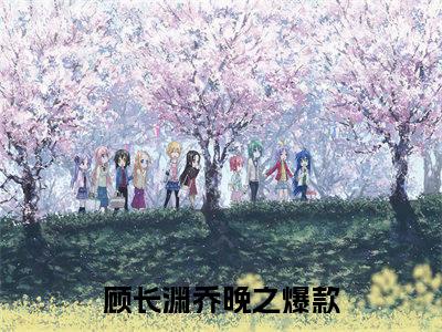 顾长渊乔晚之小说免费阅读全文在线阅读，顾长渊乔晚之的小说在线阅读全文