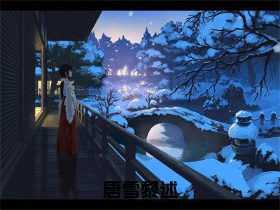 好看的小说推荐唐雪黎述 唐雪黎述全文试读免费大结局