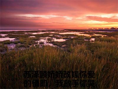 苏泽顾娇娇（改嫁你爱的情郎，我放手你哭什么）多人追免费无弹窗小说-主角改嫁你爱的情郎，我放手你哭什么完整版在线阅读（苏泽顾娇娇）