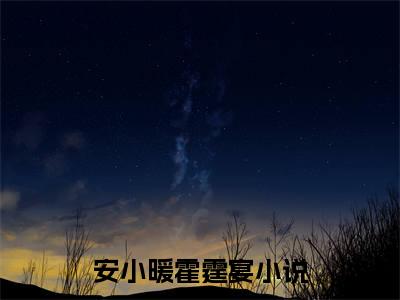 安小暖霍霆宴小说免费阅读-安小暖霍霆宴无广告全文阅读