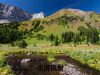 掠爱（程茉秦绍廷）今日爆款小说-（掠爱）程茉秦绍廷完结大结局免费阅读