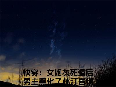快穿：女炮灰死遁后男主黑化了林汀全文免费阅读无弹窗大结局_快穿：女炮灰死遁后男主黑化了林汀小说免费阅读