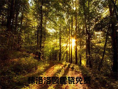 林洛洛顾霆骁（林洛洛顾霆骁）全集免费阅读无弹窗_林洛洛顾霆骁最新章节列表