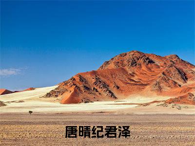 唐晴纪君泽小说在线阅读(唐晴纪君泽)_唐晴纪君泽小说最新章节