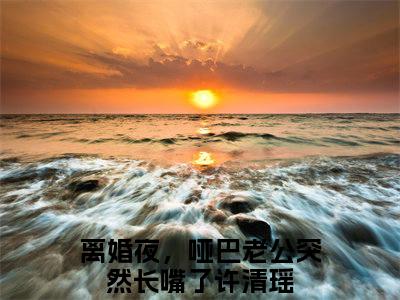 离婚夜，哑巴老公突然长嘴了许清瑶（离婚夜，哑巴老公突然长嘴了许清瑶）全文免费阅读无弹窗大结局_离婚夜，哑巴老公突然长嘴了许清瑶在线阅读（离婚夜，哑巴老公突然长嘴了许清瑶）