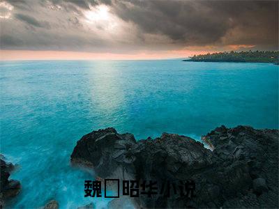 魏玠昭华全文免费阅读无弹窗，魏玠昭华小说最新章节列表无删减_笔趣阁