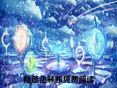 主角是陆彦丞林桉的小说-精选热门小说（陆彦丞林桉）