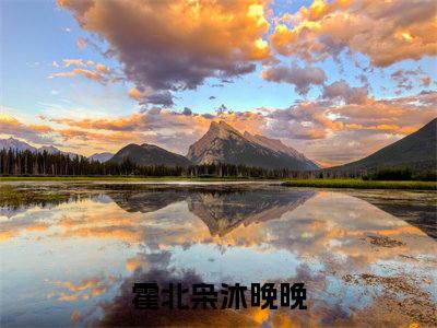 为母报仇，萌娃炸翻渣爹婚礼现场！全文免费阅读无弹窗大结局-霍北枭沐晚晚全文在线阅读最新章节列表_笔趣阁