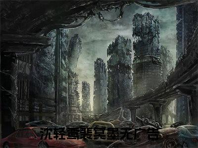 （沈轻鸾裴冥墨）小说免费阅读-沈轻鸾裴冥墨全文无弹窗阅读