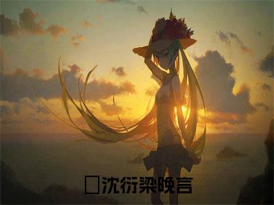 沈衍梁晚言经典小说无广告小说免费阅读 沈衍梁晚言全章节免费阅读