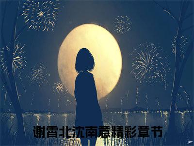 谢霄北沈南意小说（谢霄北沈南意）全文免费阅读无弹窗大结局_谢霄北沈南意小说最新章节列表_笔趣阁（谢霄北沈南意）
