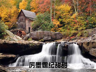 厉墨霆纪甜甜抖音高赞小说 厉墨霆纪甜甜全文无弹窗阅读