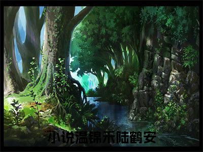 温锦禾陆鹤安热门小说全文免费阅读无弹窗大结局-温锦禾陆鹤安全文无弹窗免费阅读大结局