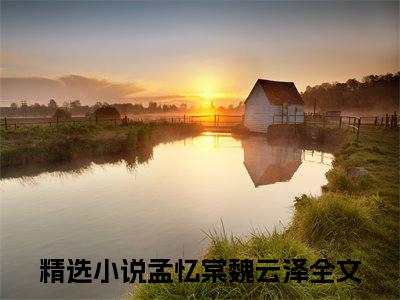 孟忆棠魏云泽精彩章节在线阅读-孟忆棠魏云泽美文欣赏
