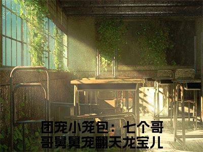 团宠小笼包：七个哥哥舅舅宠翻天龙宝儿小说(团宠小笼包：七个哥哥舅舅宠翻天龙宝儿)全文免费阅读无弹窗大结局_团宠小笼包：七个哥哥舅舅宠翻天龙宝儿小说免费阅读无弹窗最新章节列表