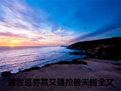 南月狐克（兽世豆芽菜又强抢兽夫啦）热门小说盘点在线阅读-全网推荐小说兽世豆芽菜又强抢兽夫啦全文