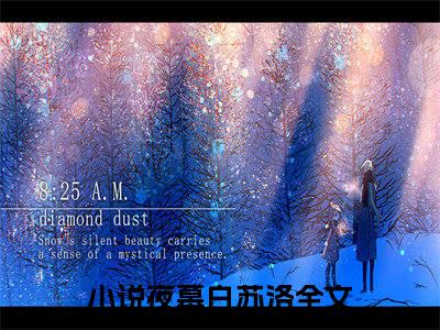 私藏读物《夜幕白苏洛》小说全文免费阅读-微小说（夜幕白苏洛）完整版阅读